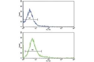 Flow cytometric analysis of Jurkat cells using CD45 antibody (bottom histogram) compared to a negative control cell (top histogram).