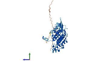 AlphaFold protein structure predicition of Human Recombinant RAD51C Protein, UniprotID O43502