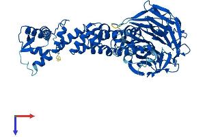 AlphaFold protein structure predicition of Mouse Recombinant Klhl12 Protein, UniprotID Q8BZM0