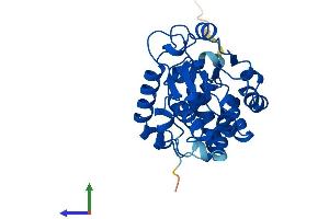 AlphaFold protein structure predicition of Mouse Recombinant Ttpa Protein, UniprotID Q8BWP5