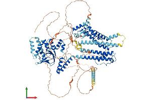 AlphaFold protein structure predicition of Mouse Recombinant Hcn1 Protein, UniprotID O88704