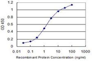 Detection limit for recombinant GST tagged DAZAP1 is 0. (DAZAP1 anticorps  (AA 308-407))