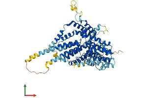 AlphaFold protein structure predicition of Human Recombinant SLC13A5 Protein, UniprotID Q86YT5