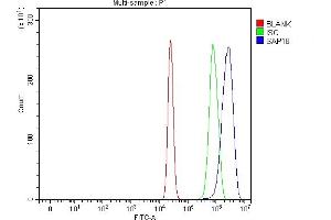 Flow Cytometry analysis of U20S cells using anti-SAP18 antibody (ABIN7599009). (SAP18 anticorps  (AA 1-153))