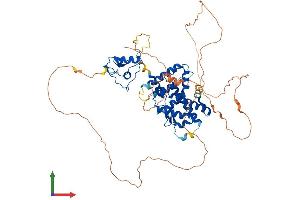 AlphaFold protein structure predicition of Human Recombinant NR4A2 Protein, UniprotID P43354