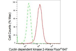 Flow cytometric analysis of Cyclin dependent kinase 2 expression in HepG2 cells using Cyclin dependent kinase 2 antibody (ABIN7798211), 1:2,000). (Recombinant CDK2 anticorps)