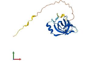 AlphaFold protein structure predicition of Mouse Recombinant Csdc2 Protein, UniprotID Q91YQ3