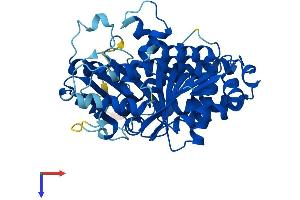 AlphaFold protein structure predicition of Human Recombinant TUBD1 Protein, UniprotID Q9UJT1