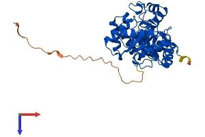 AlphaFold protein structure predicition of Mouse Recombinant Kcnab2 Protein, UniprotID P62482