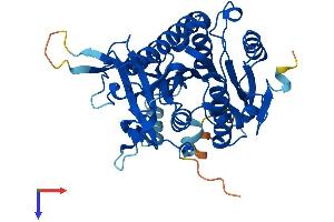 AlphaFold protein structure predicition of Mouse Recombinant Pafah2 Protein, UniprotID Q8VDG7