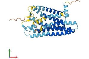 AlphaFold protein structure predicition of Human Recombinant OR2C1 Protein, UniprotID O95371