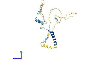 AlphaFold protein structure predicition of Human Recombinant PPP1R1B Protein, UniprotID Q9UD71