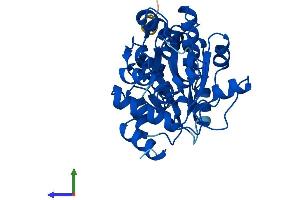 AlphaFold protein structure predicition of Human Recombinant SDSL Protein, UniprotID Q96GA7