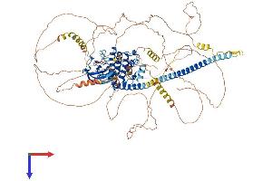 AlphaFold protein structure predicition of Human Recombinant MAP3K13 Protein, UniprotID O43283