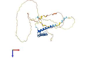 AlphaFold protein structure predicition of Human Recombinant CDX2 Protein, UniprotID Q99626