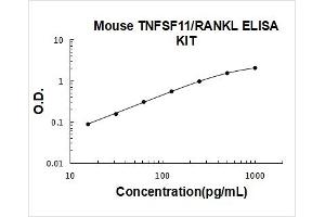 Mouse TNFSF11/RANKL PicoKine ELISA Kit standard curve
