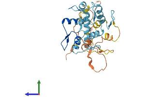 AlphaFold protein structure predicition of Human Recombinant ZNF705A Protein, UniprotID Q6ZN79