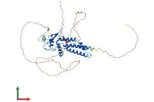 AlphaFold protein structure predicition of Mouse Recombinant Tfap2d Protein, UniprotID Q91ZK0