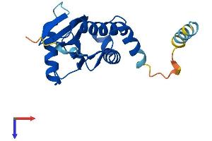 AlphaFold protein structure predicition of Mouse Recombinant Copz1 Protein, UniprotID P61924