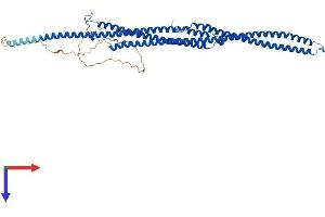 AlphaFold protein structure predicition of Human Recombinant TEKT3 Protein, UniprotID Q9BXF9