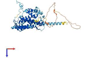 AlphaFold protein structure predicition of Human Recombinant PTDSS2 Protein, UniprotID Q9BVG9