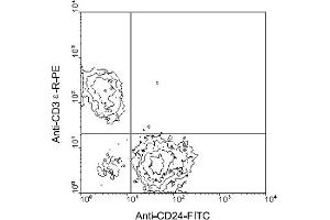 Flow Cytometry (FACS) image for anti-CD24 Molecule (CD24) antibody (FITC) (ABIN370873) (CD24 anticorps  (FITC))