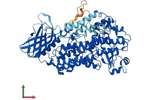 AlphaFold protein structure predicition of Human Recombinant ALOX12B Protein, UniprotID O75342