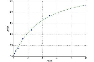 Cyclin D2 (CCND2) ELISA Kit