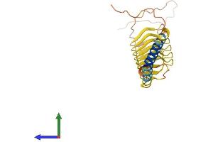AlphaFold protein structure predicition of Mouse Recombinant Krtap5-3 Protein, UniprotID Q9D226