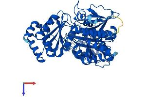 AlphaFold protein structure predicition of Mouse Recombinant Pgm3 Protein, UniprotID Q9CYR6