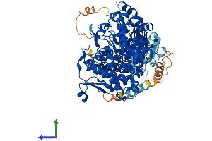 AlphaFold protein structure predicition of Mouse Recombinant Ampd1 Protein, UniprotID Q3V1D3