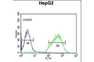 HIST1H2AL Antibody (C-term) (ABIN651090 and ABIN2840066) flow cytometric analysis of HepG2 cells (right histogram) compared to a negative control cell (left histogram). (HIST1H2AL anticorps  (C-Term))