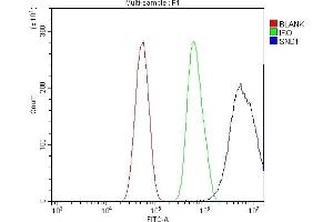 Flow Cytometry analysis of U87 cells using anti-SND1 antibody (ABIN7600527).