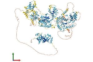 AlphaFold protein structure predicition of Human Recombinant PEX1 Protein, UniprotID O43933