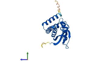 AlphaFold protein structure predicition of Mouse Recombinant Trappc3 Protein, UniprotID O55013