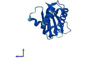 AlphaFold protein structure predicition of Mouse Recombinant Ap4s1 Protein, UniprotID Q9WVL1