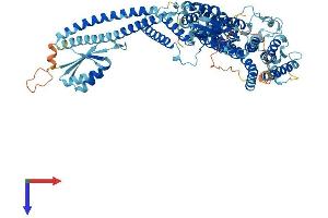 AlphaFold protein structure predicition of Human Recombinant ATP6V0A1 Protein, UniprotID Q93050