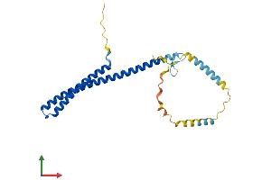 AlphaFold protein structure predicition of Mouse Recombinant Chmp5 Protein, UniprotID Q9D7S9