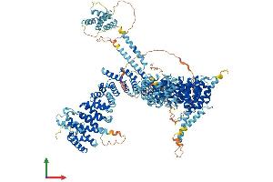 AlphaFold protein structure predicition of Human Recombinant NCAPD2 Protein, UniprotID Q15021