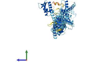 AlphaFold protein structure predicition of Mouse Recombinant Cul2 Protein, UniprotID Q9D4H8