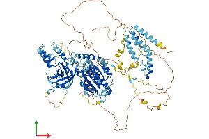 AlphaFold protein structure predicition of Mouse Recombinant Ints6 Protein, UniprotID Q6PCM2