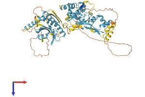 AlphaFold protein structure predicition of Human Recombinant NPRL3 Protein, UniprotID Q12980