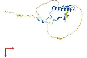 AlphaFold protein structure predicition of Human Recombinant CDKN1B Protein, UniprotID P46527