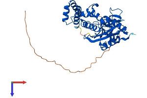 AlphaFold protein structure predicition of Mouse Recombinant Eri1 Protein, UniprotID Q7TMF2