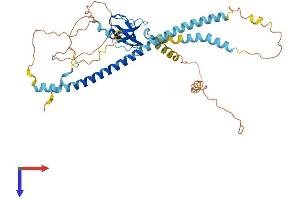 AlphaFold protein structure predicition of Mouse Recombinant Pex13 Protein, UniprotID Q9D0K1