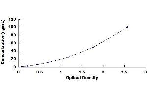 Typical standard curve (UGT1A1 Kit ELISA)