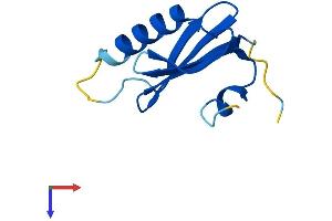 AlphaFold protein structure predicition of Human Recombinant LAMTOR4 Protein, UniprotID Q0VGL1