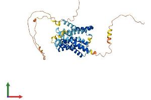 AlphaFold protein structure predicition of Human Recombinant SLC10A4 Protein, UniprotID Q96EP9