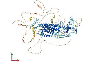AlphaFold protein structure predicition of Mouse Recombinant Rhbdf2 Protein, UniprotID Q80WQ6
