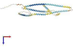 AlphaFold protein structure predicition of Human Recombinant SPZ1 Protein, UniprotID Q9BXG8
